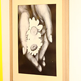 Kinderopvang Madelief Bodegraven Schilderij